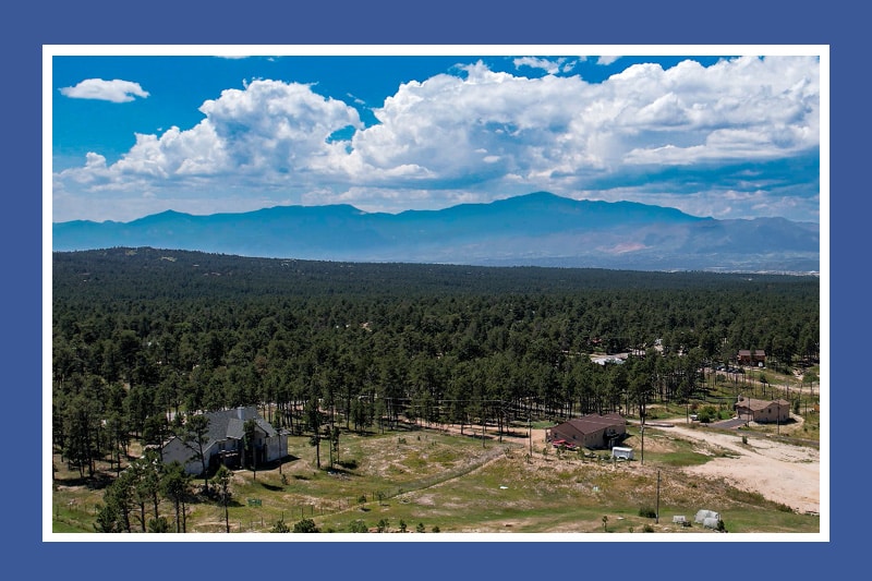 Homes for Sale Black Forest Colorado