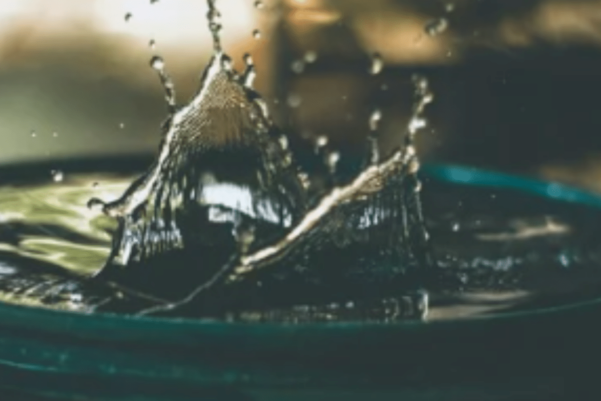 A Guide to Water Rights in Colorado for Homebuyers
